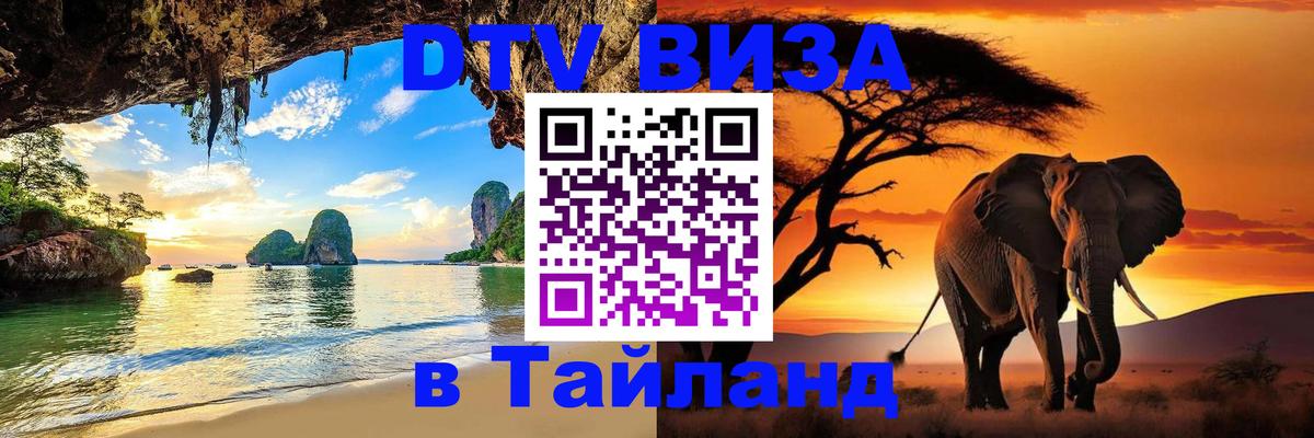 Сколько стоит DTV виза — актуальные цены, оформление даже без документов - 20.11.2025 